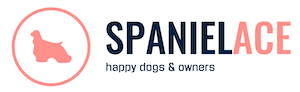 Spaniel Ace – Advice and Guides for Spaniel Dog Owners